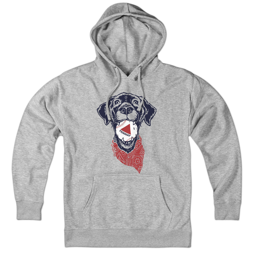 Fenway Dog Hoodie - Chowdaheadz
