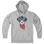 Fenway Dog Hoodie