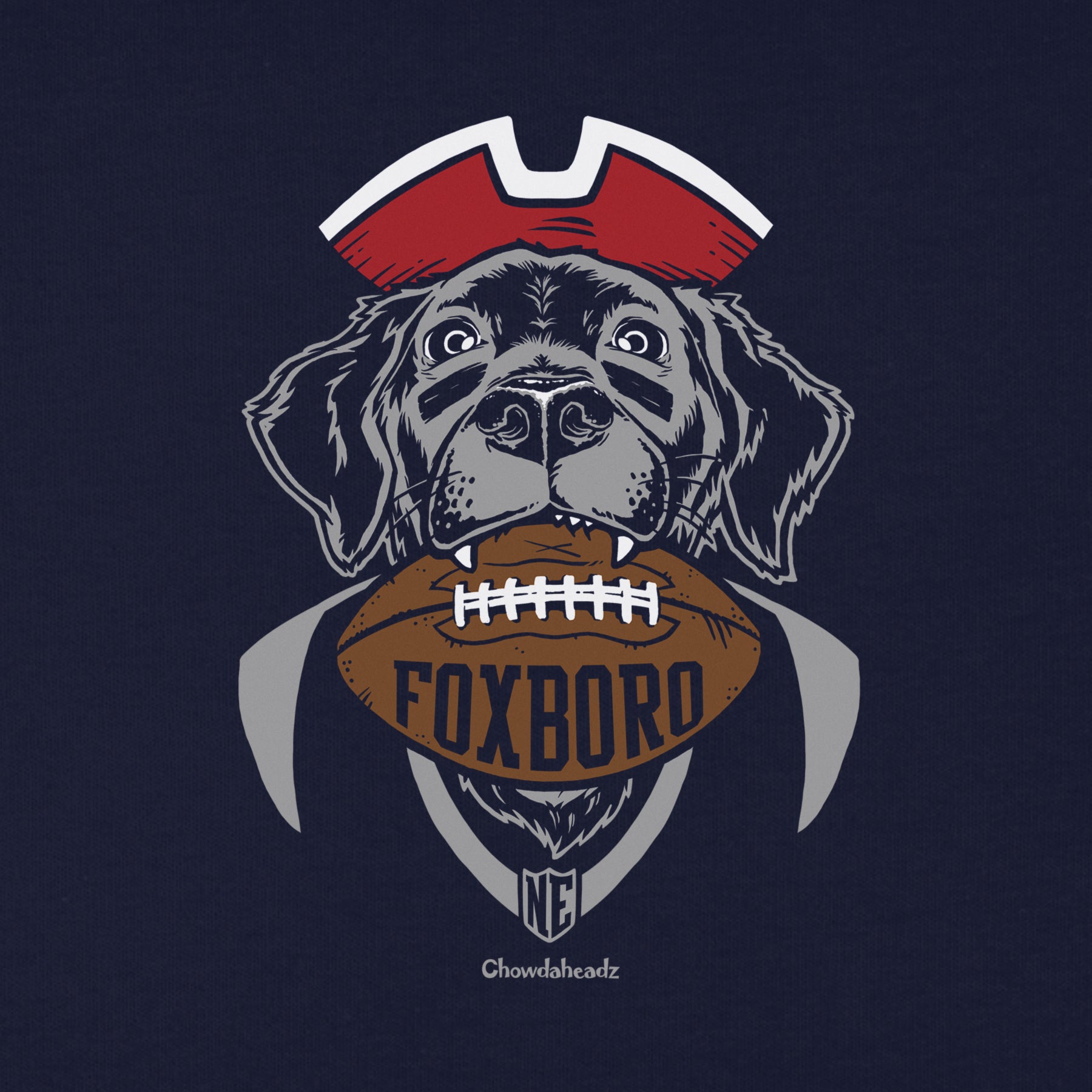 Foxboro Football Dog Youth Hoodie - Chowdaheadz