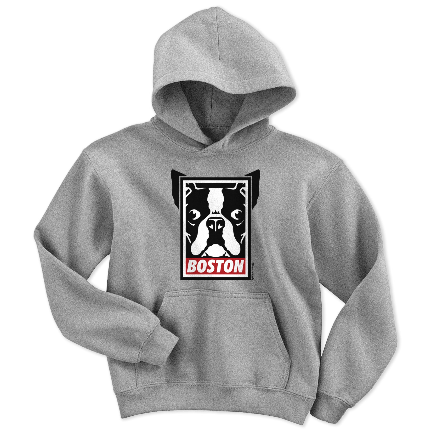 Boston Terrier Frame Youth hoodie - Chowdaheadz