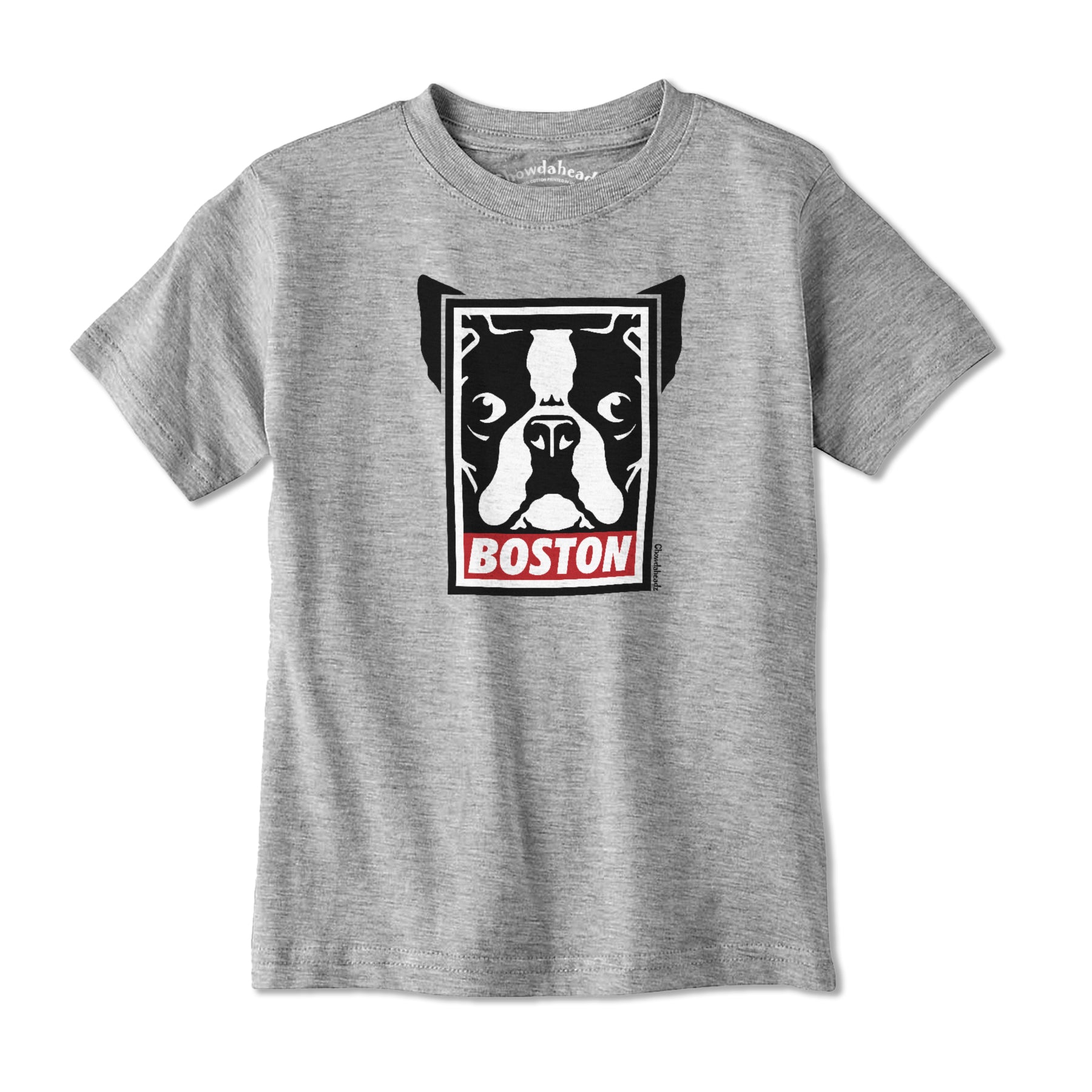 Boston Terrier Frame Youth T-Shirt - Chowdaheadz