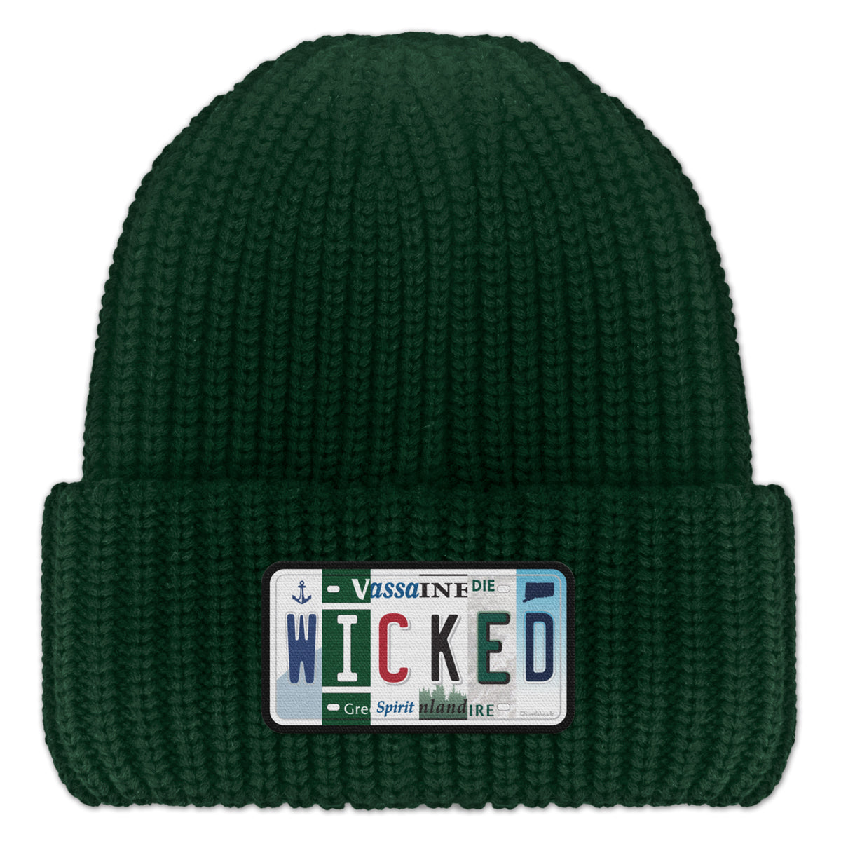 Wicked New England License Plate Leather Patch Chunky Knit Winter Hat