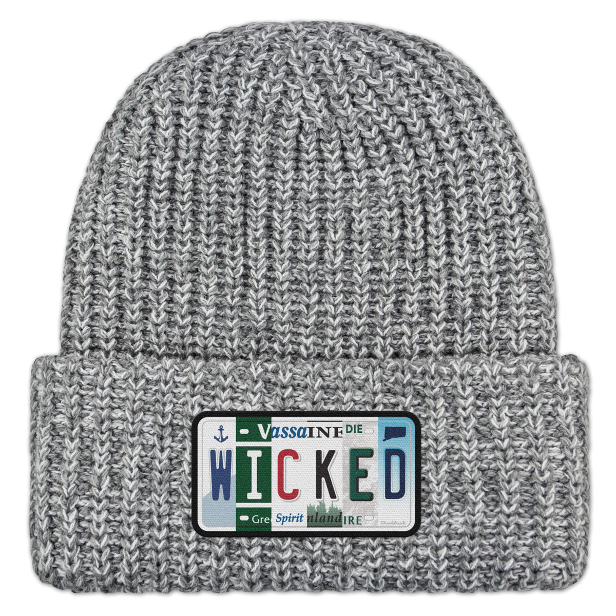 Wicked New England License Plate Leather Patch Chunky Knit Winter Hat