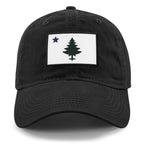 Vintage Maine Flag PVC Dad Hat