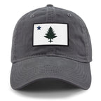 Vintage Maine Flag PVC Dad Hat