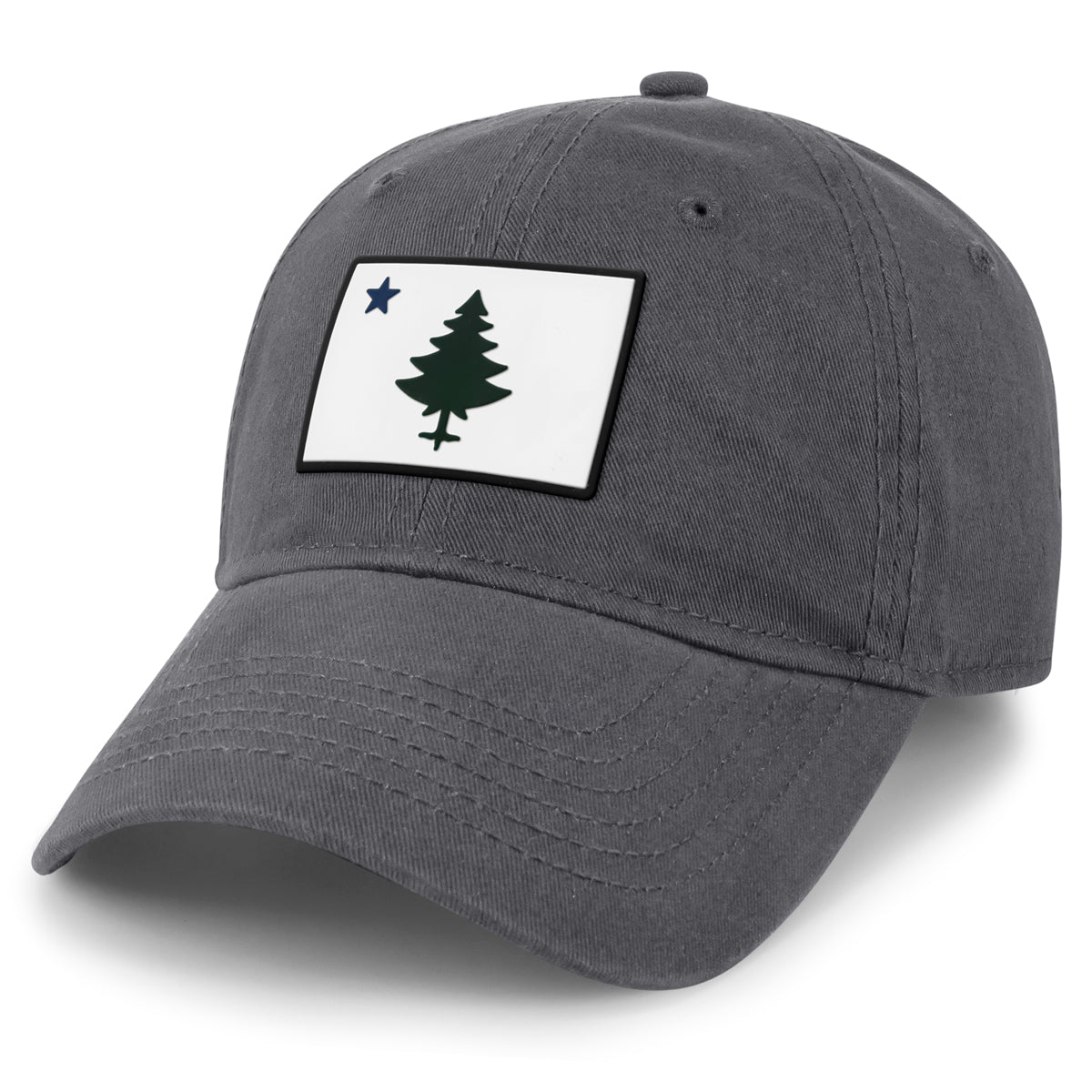 Vintage Maine Flag PVC Dad Hat