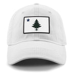 Vintage Maine Flag PVC Dad Hat