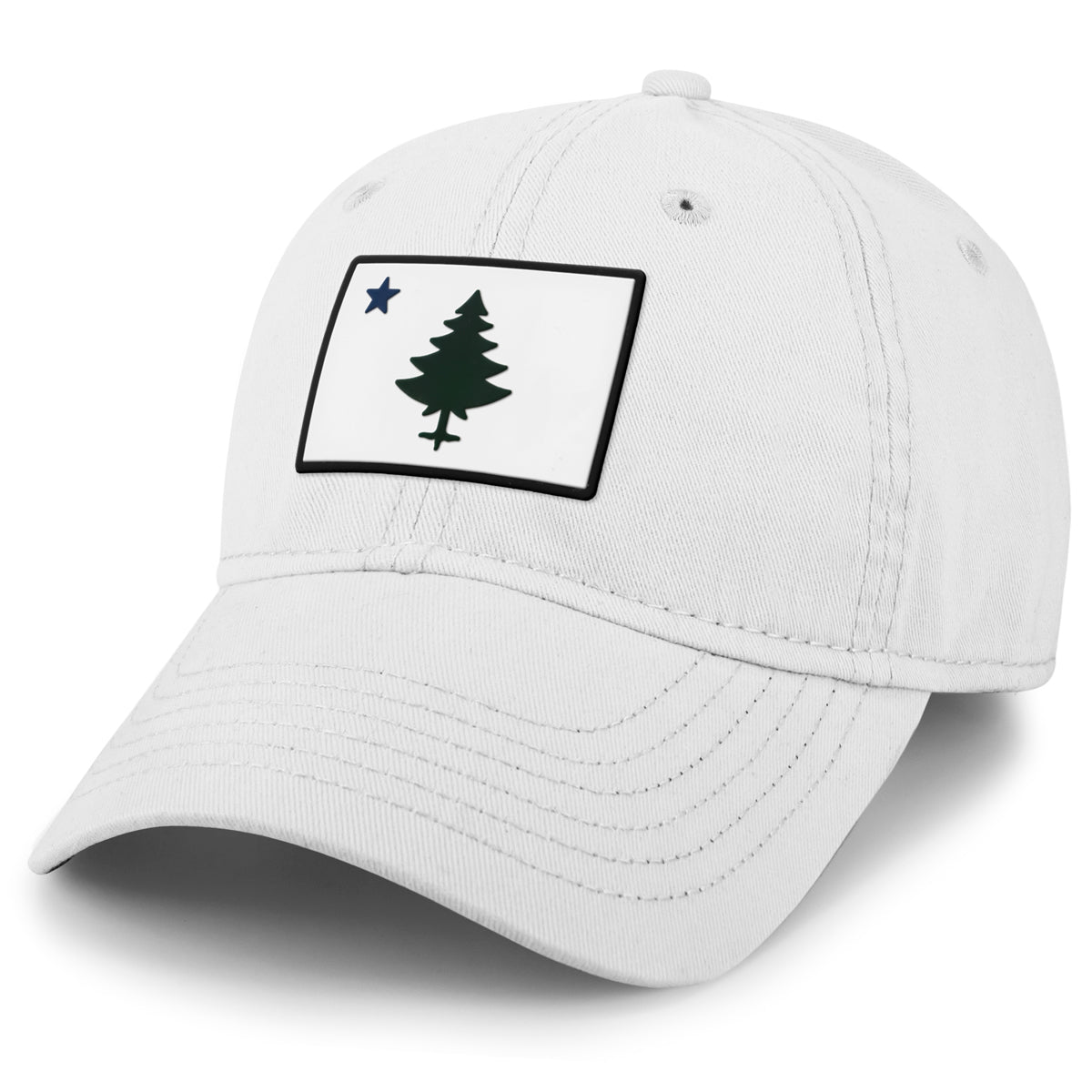 Vintage Maine Flag PVC Dad Hat