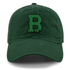 Boston B Green Skyline Dad Hat