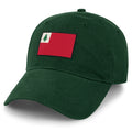 Vintage New England Flag Dad Hat - Chowdaheadz