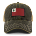 Vintage New England Flag Dirty Water Trucker Hat