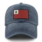 Vintage New England Flag washed dad hat profile view