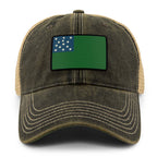 Vintage Vermont Flag Dirty Water Trucker Hat