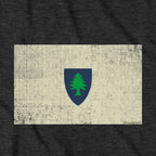 Vintage Massachusetts Flag hoodie graphic detail in Charcoal
