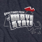 Greetings From The Maye State hoodie graphic detail in Heather Blue