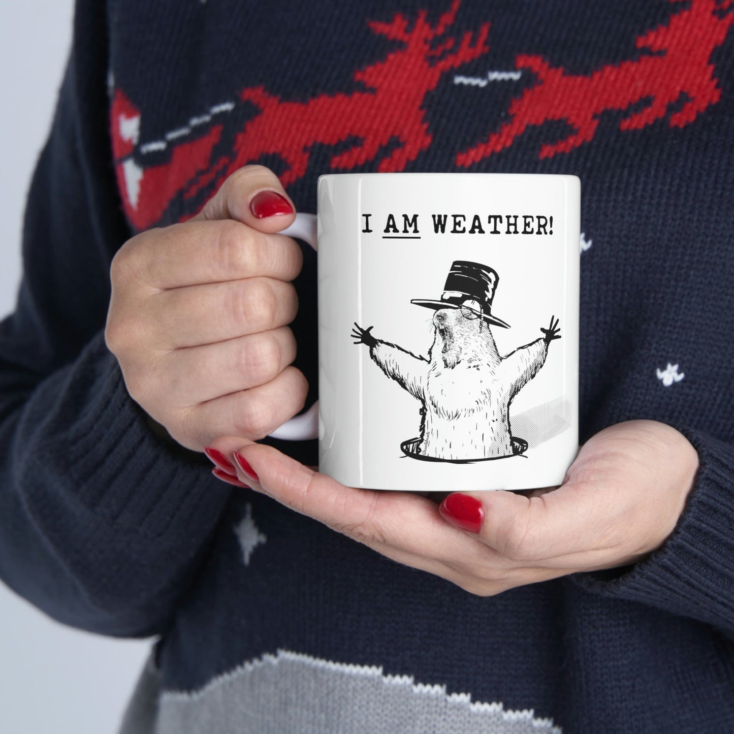 I AM Weather! 11oz Coffee Mug - Chowdaheadz
