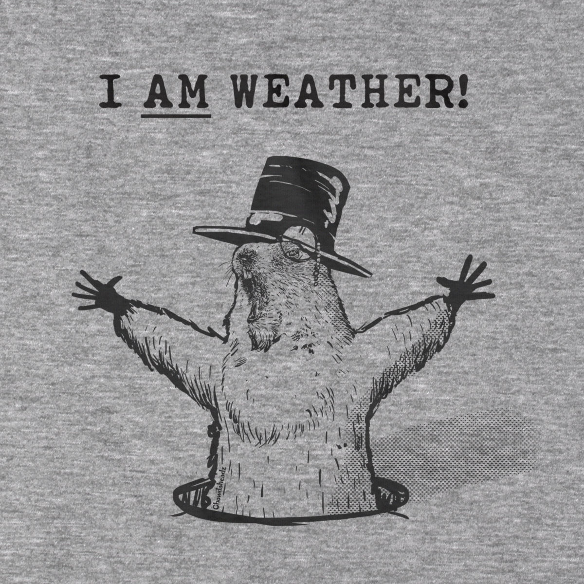 I Am Weather T-Shirt - Chowdaheadz