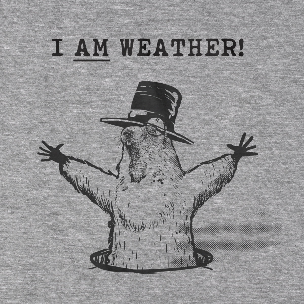 I Am Weather T-Shirt - Chowdaheadz