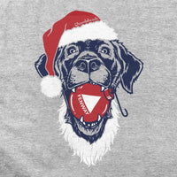 Santa Paws Fenway Dog Hoodie - Chowdaheadz
