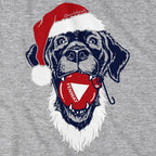 Santa Paws Fenway Dog T-Shirt - Chowdaheadz
