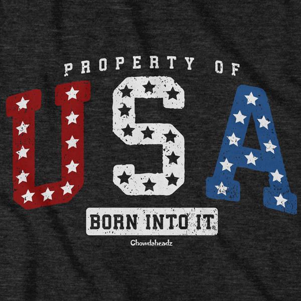 Close-up of Property of USA shirt design — varsity lettering detail