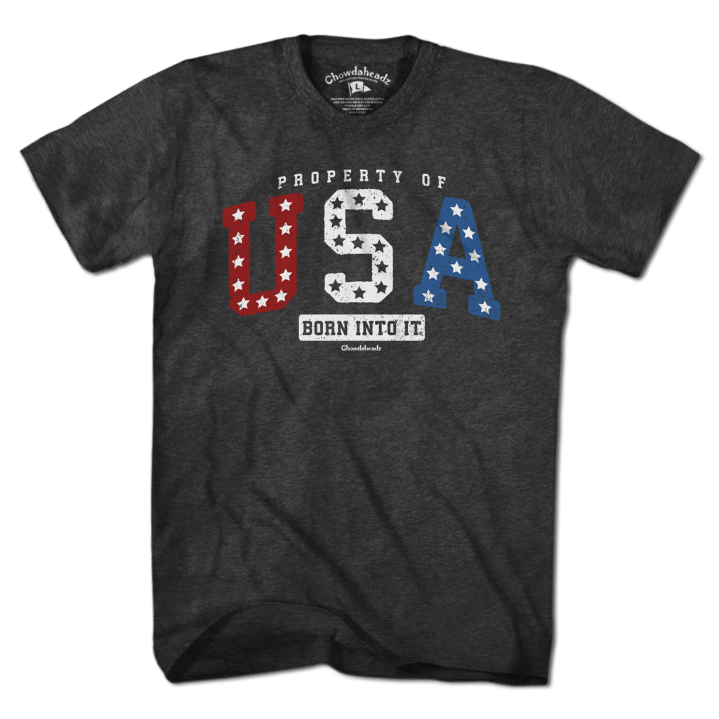 Property of USA t-shirt with varsity lettering and stars-and-stripes accent — patriotic varsity tee