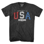 Property of USA t-shirt with varsity lettering and stars-and-stripes accent — patriotic varsity tee