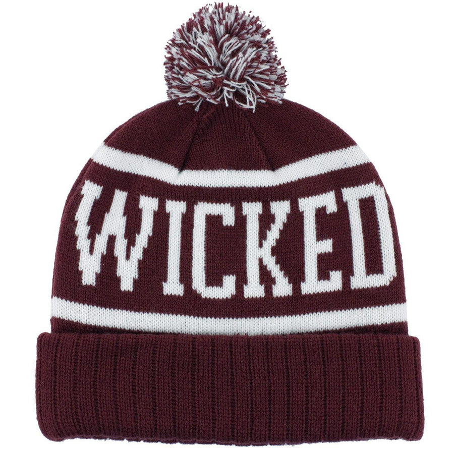 Wicked Smaaht Old School Knit Winter Hat - Chowdaheadz