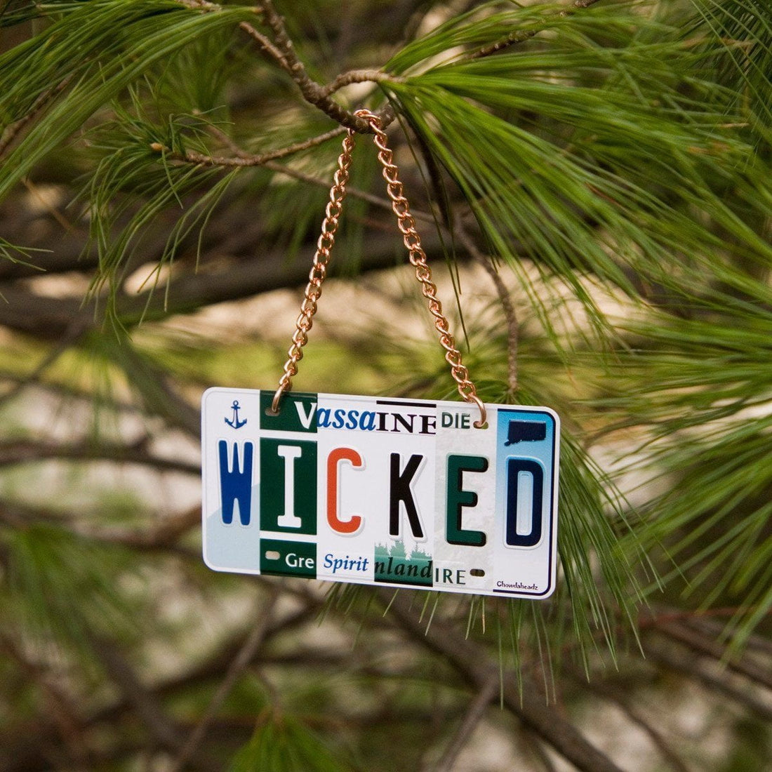 Wicked License Plate Ornament - Chowdaheadz