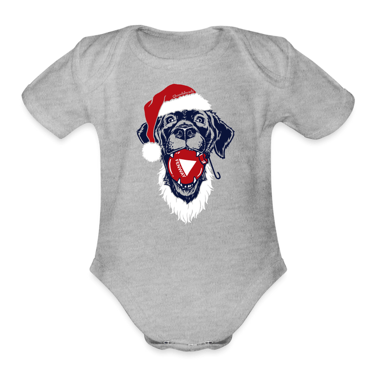 Santa Paws Fenway Dog Infant One Piece - heather grey