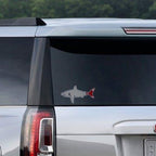 Boston Shark Fan Sticker - Chowdaheadz