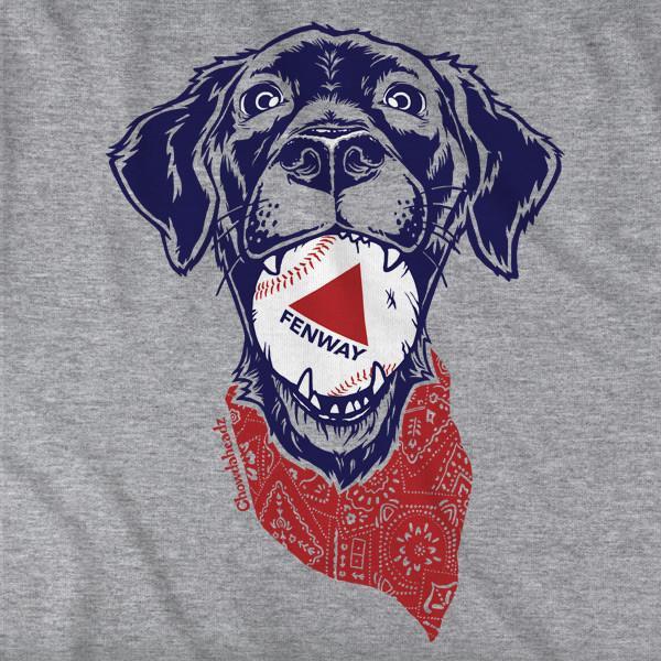 Fenway Dog T-Shirt - Chowdaheadz